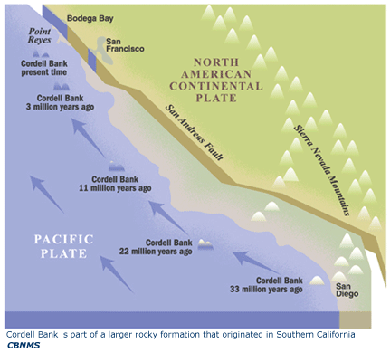 Cordell Bank is part of a larger rocky formation origination in Southern California
