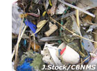 photo of plastic debris