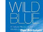 photo of wild blue book cover