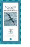 amazing seabirds booklet