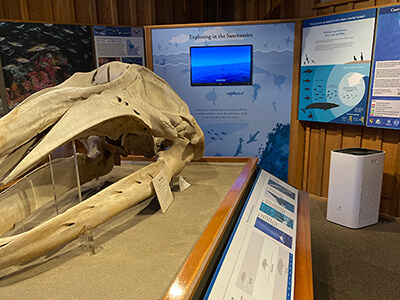 a whale skull on a platform with panels on the wall
