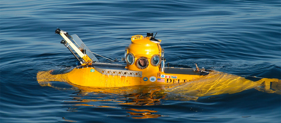 photo of delta Submersible