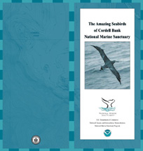 seabirds_guide.pdf