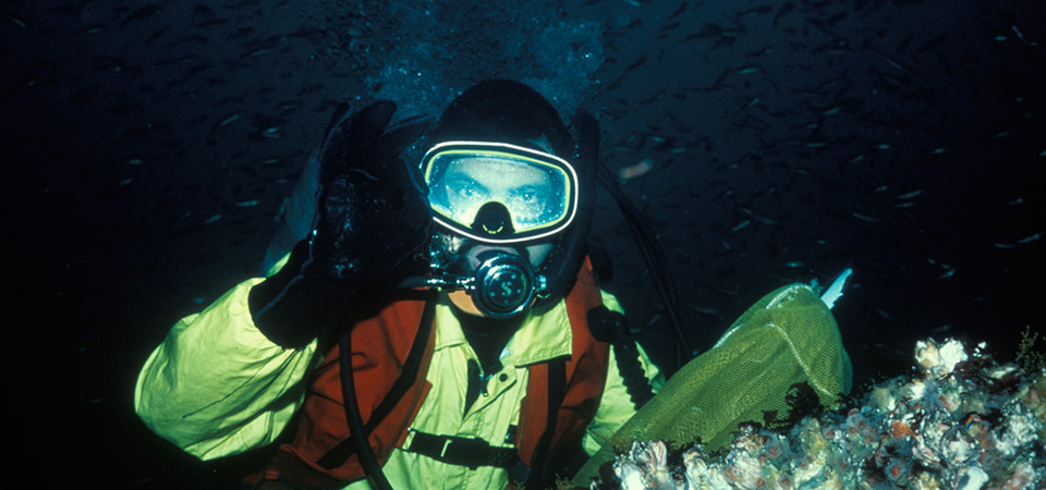 photo of diver