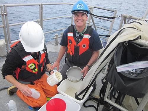 TAS Mike Wing 2015 sorts tucker trawl plankton sample from transect  