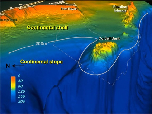 Side-scan sonar of cordell bank