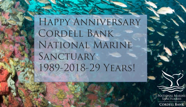 happy anniversary cordell bank national marine sanctuary