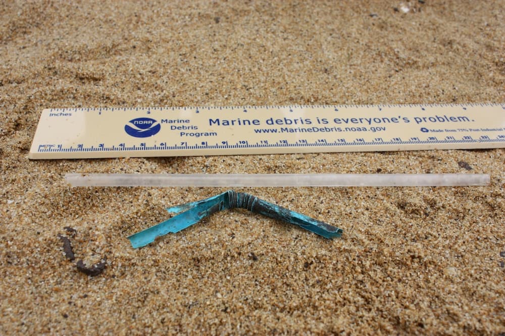 ruler laying down on the beach
