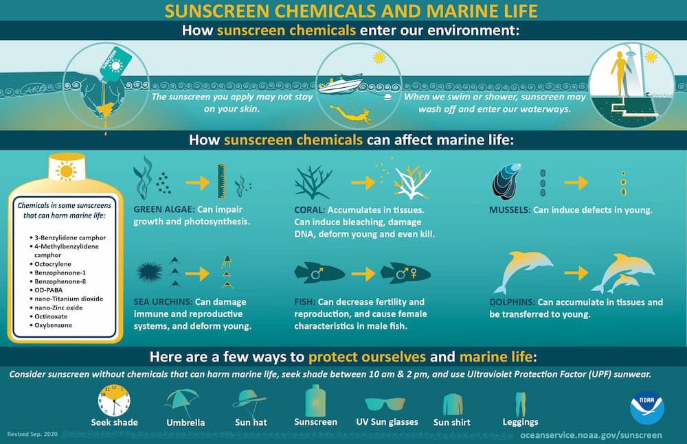 informational image about sunscreen chemicals