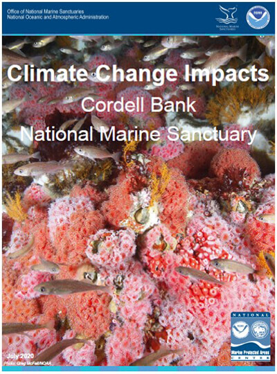 Coedel bank climate impact profile report cover