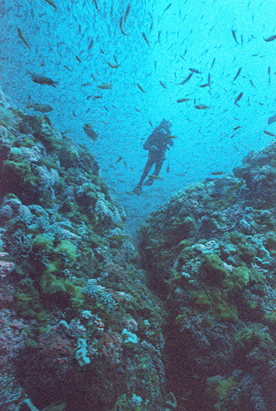 blue water with a scuba diver in between two big rocky cliffs on the sides covered in colorful life