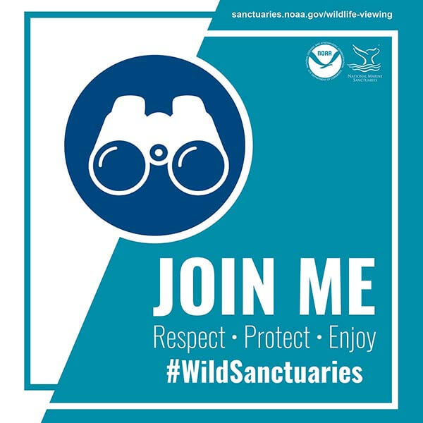 An image of binoculars in a circle with text saying Join Me Respect, Protect, Enjoy #wildsanctuaries