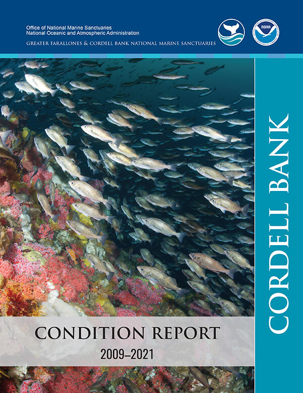 cover of Cordell Bank condition report with colorful invertebrate and fish life