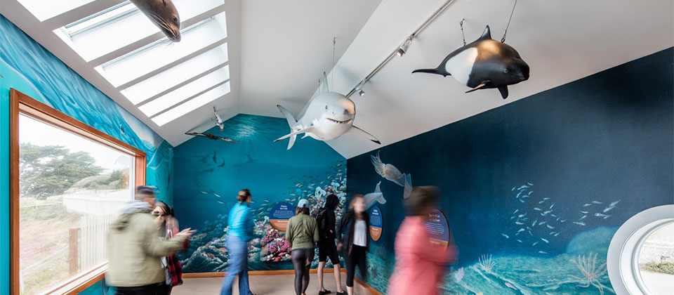 photo of people exploring the ocean exploration center